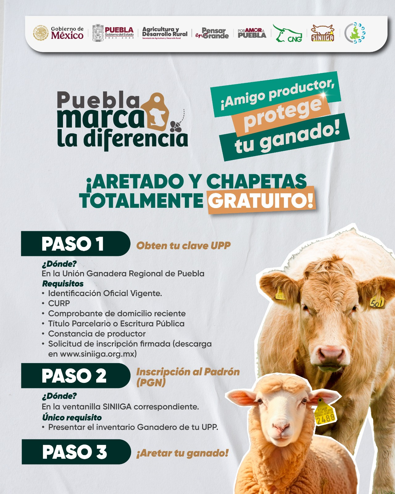 Puebla impulsa la protección del ganado con aretado y chapetas totalmente gratuitos